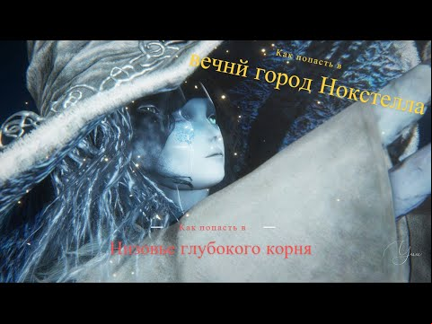Нокстелла Вечный город и Низовье глубокого корня, как туда попасть и что надо делать